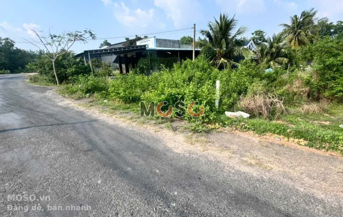 Bán đất Ấp Xóm Bố  Huyện Gò Dầu, Tây Ninh – giá 590 triệu - ảnh 2